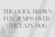 Colgan - Stylish Serif Font, a Serif Font by Aqeel_Art (Thumbnail 10 of 12)