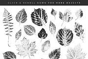 Leaves – stamp collection, a Pattern Graphic by Helen Halik art (Thumbnail 2 of 7)
