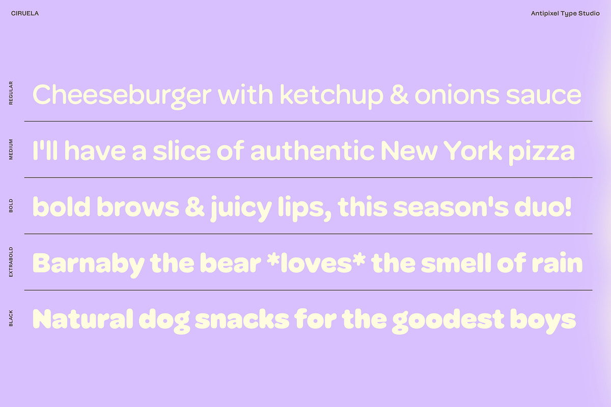 Ciruela | Chunky Round Display Sans, a Sans Serif Font by Antipixel Type Studio (Photo 10 of 19)