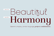 Liliana, a Sans Serif Font by Letritas (Thumbnail 12 of 14)