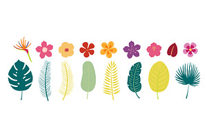 Tropical flower illustration, an Object Illustration by sceptical cactus