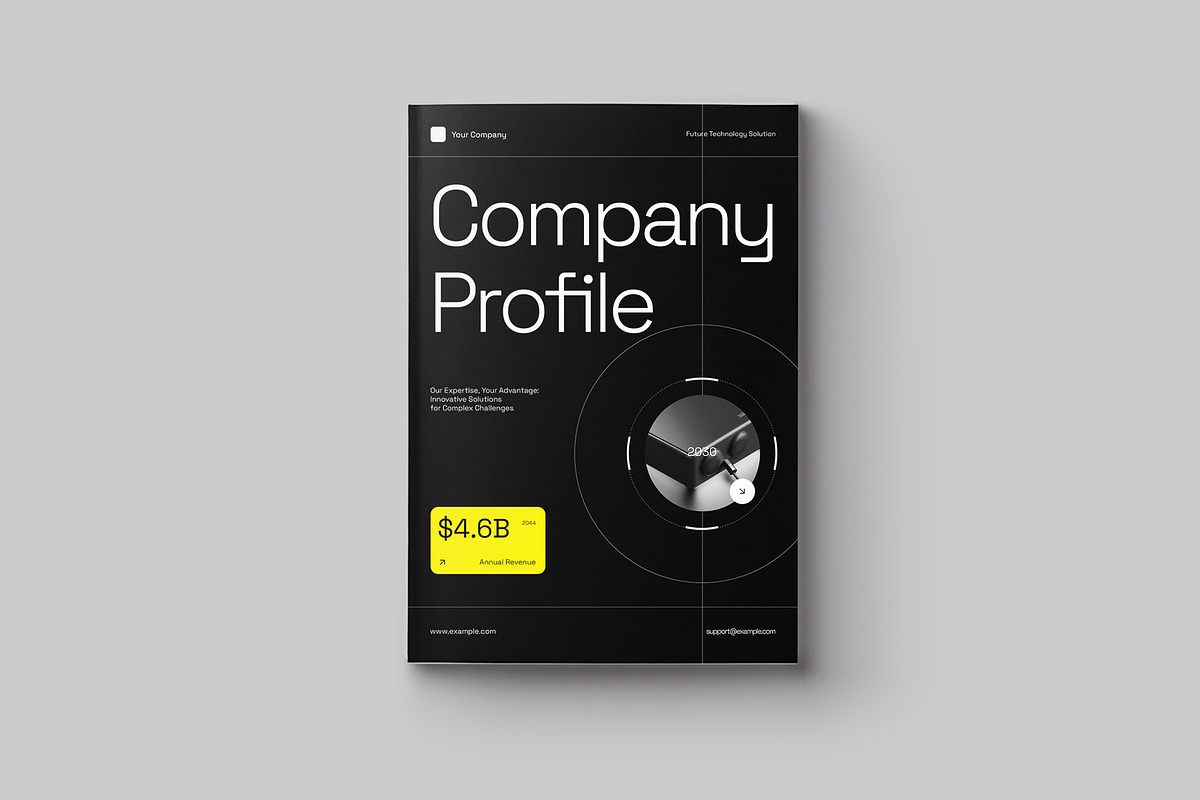 Technology Company Profile