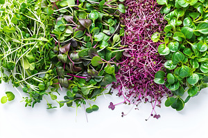 Different fresh microgreens on white background, a Food & Drink Photo by AlyaAnd
