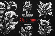 10 Bundle Dark Art Aglonema Botani, an Illustration by Morspective (Thumbnail 1 of 7)