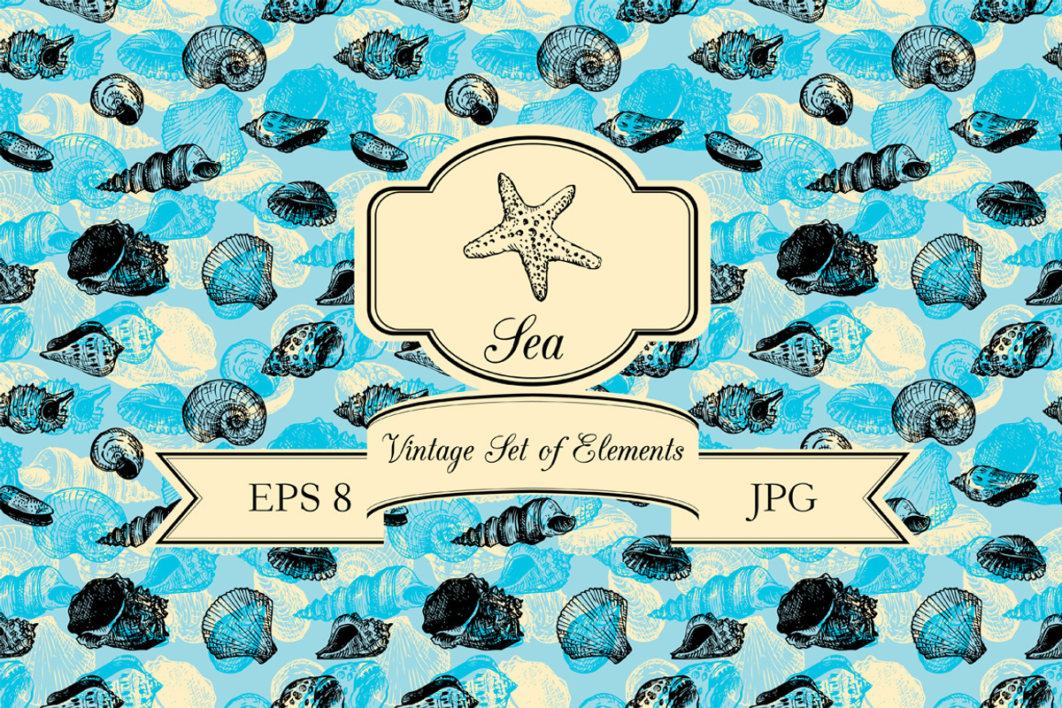 Seashells set