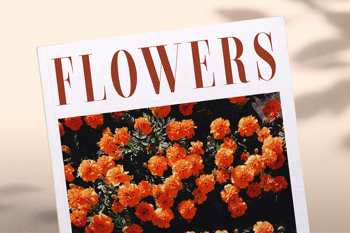 Jorginho Elegant Serif Font, a Serif Font by Perfectype (Photo 5 of 10)