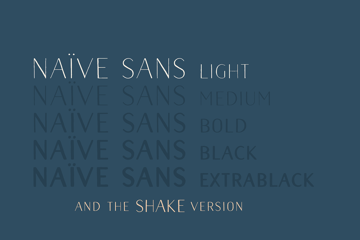 Naive Sans Light & Shake, a Handwritten Font by S&C Type (Photo 2 of 6)