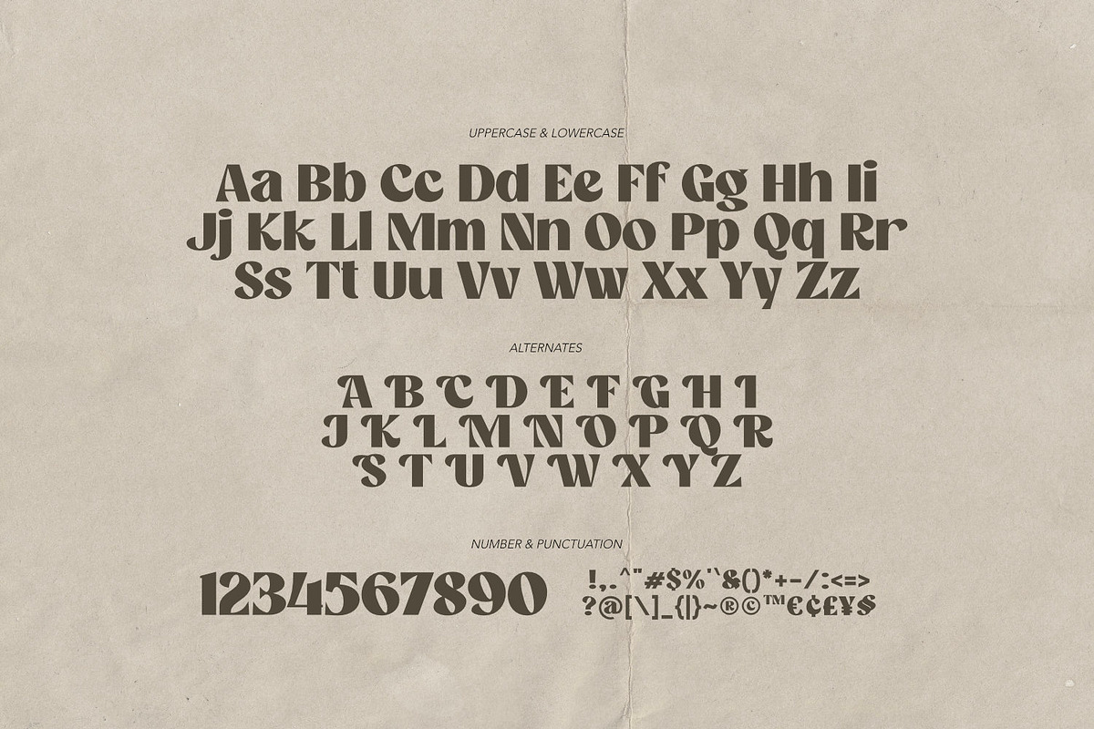 Camera Obscura - Classy Type, a Serif Font by ikiiko (Photo 6 of 7)
