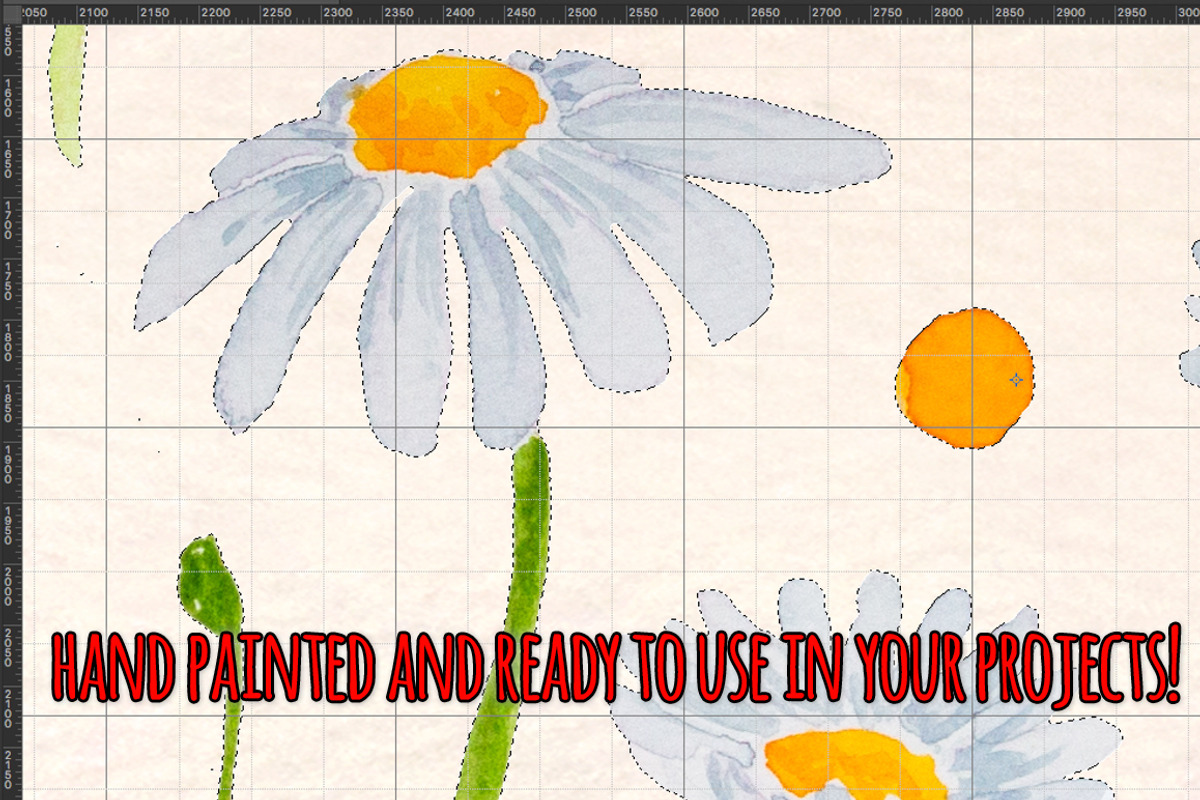 Spring Daisies Watercolor Bundle, a Seasonal Illustration by Violet LeBeaux (Photo 3 of 3)