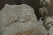 Something Else Textured Script, a Script Font by AnMark (Thumbnail 8 of 10)