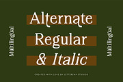 Regime Misfiles Serif Oldstyle Font, a Serif Font by Letterena Studios (Thumbnail 12 of 15)