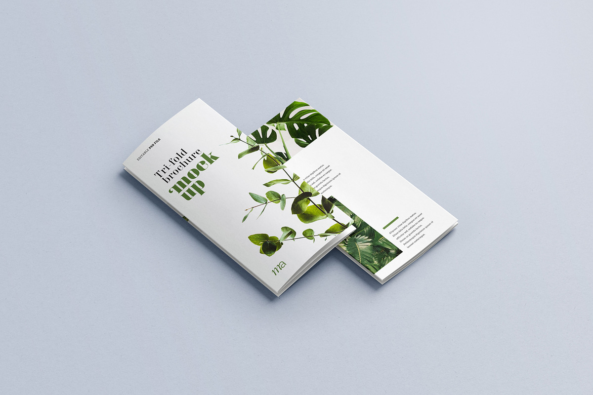 Trifold Brochure Mockup, a Print Template by mockupatelier (Photo 9 of 15)