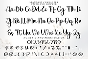 Holiday Himalaya, a Handwritten Font by FreshTypeINK (Thumbnail 8 of 8)