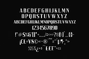 Heaven Mine Modern Serif Font, a Serif Font by Storytype Studio (Thumbnail 13 of 15)