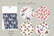 Watercolour Nautical Set, an Animal Illustration by NNclipart (Thumbnail 11 of 13)