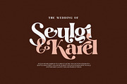 Thoine Bilora Modern Ligature Serif, a Serif Font by Perfectype (Thumbnail 2 of 8)