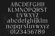 Cardival – Modern Luxury Bold Serif, a Serif Font by Lettertype Studio (Thumbnail 9 of 11)
