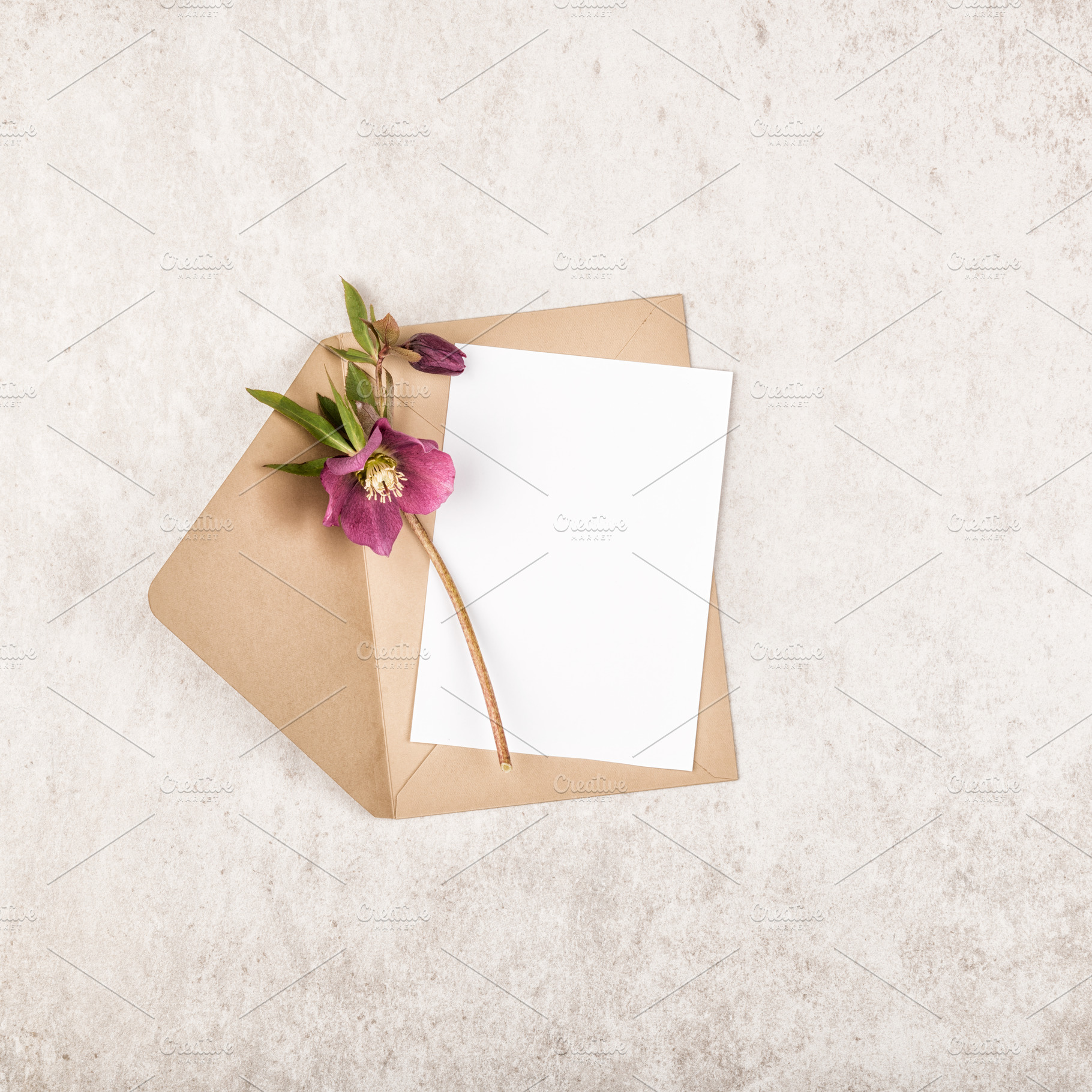 Envelope with flowers featuring hellebore, envelope, and flat, a Nature Photo by Ekaterina Grivet