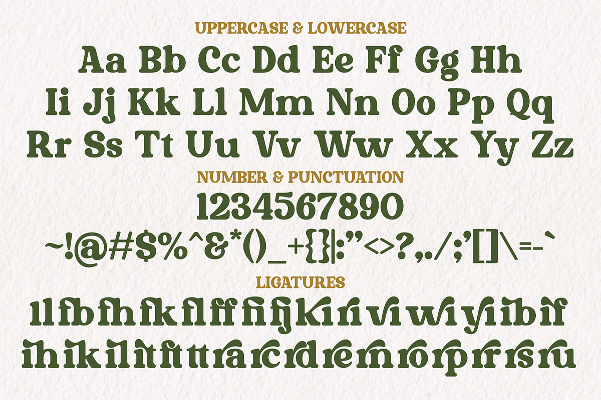 Morally - Vintage Bold Serif, a Serif Font by tebaltipislab (Photo 6 of 13)