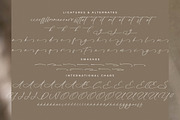 Platimye Stylish Signature Font, a Script Font by Letterena Studios Script (Thumbnail 14 of 15)