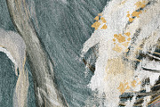 Wallpaper Slumber of the Field Herbs, a Wallpaper Graphic by apollinariia_shop (Thumbnail 5 of 8)