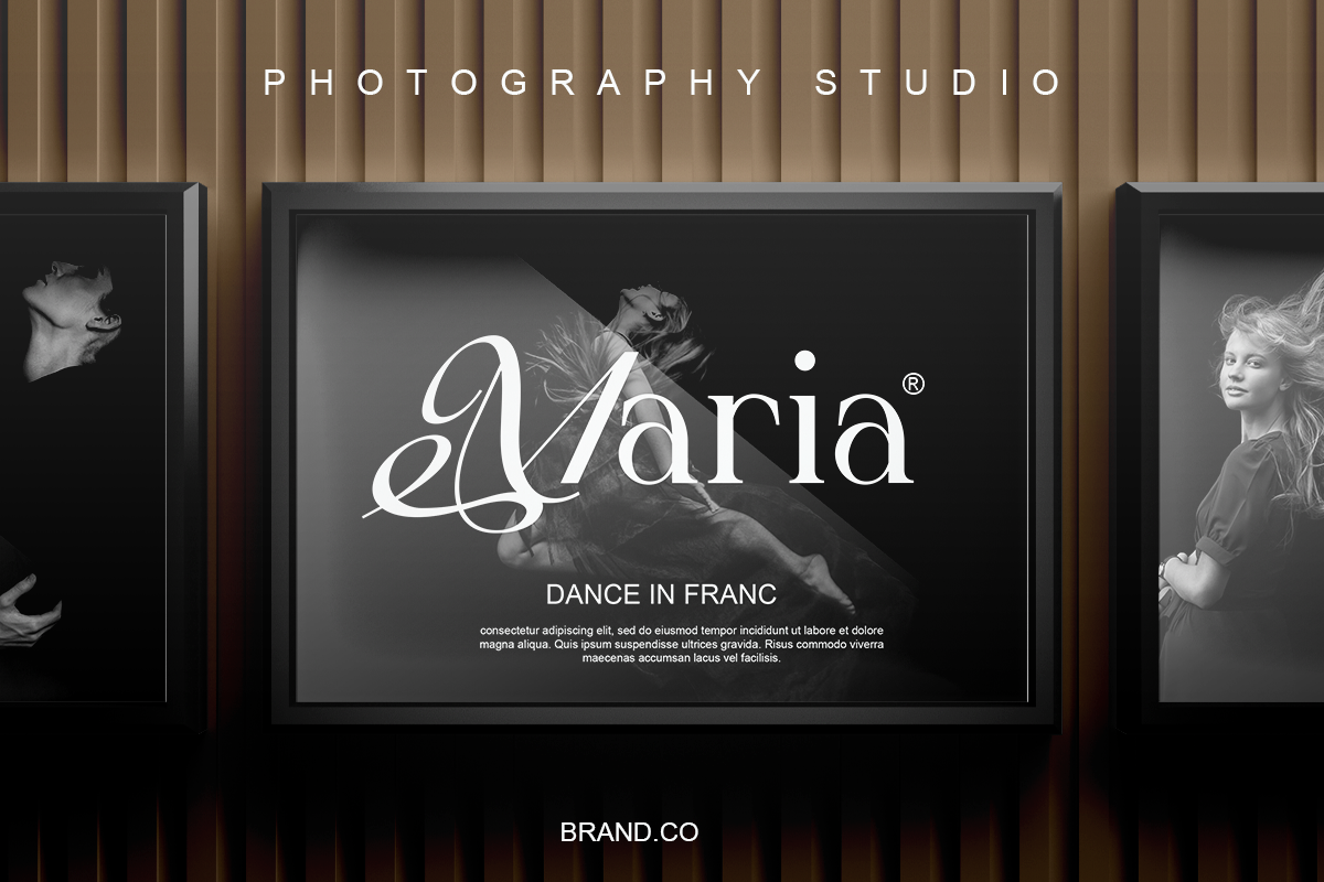Astera Casty - Luxury Script Font, a Serif Font by RagamKata (Photo 6 of 10)