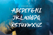 Destroyer — Brush Font, a Handwritten Font by Noe Araujo (Thumbnail 2 of 3)
