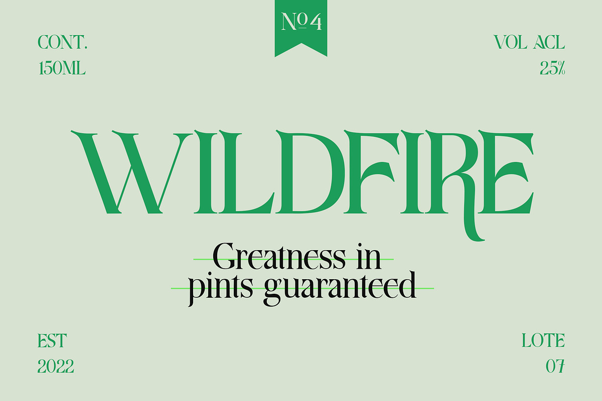 Aquifer, a Serif Font by Damelev (Photo 6 of 15)
