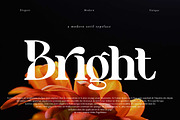 Benogi - Retro Serif Font, a Serif Font by Flawless And Co (Thumbnail 2 of 12)