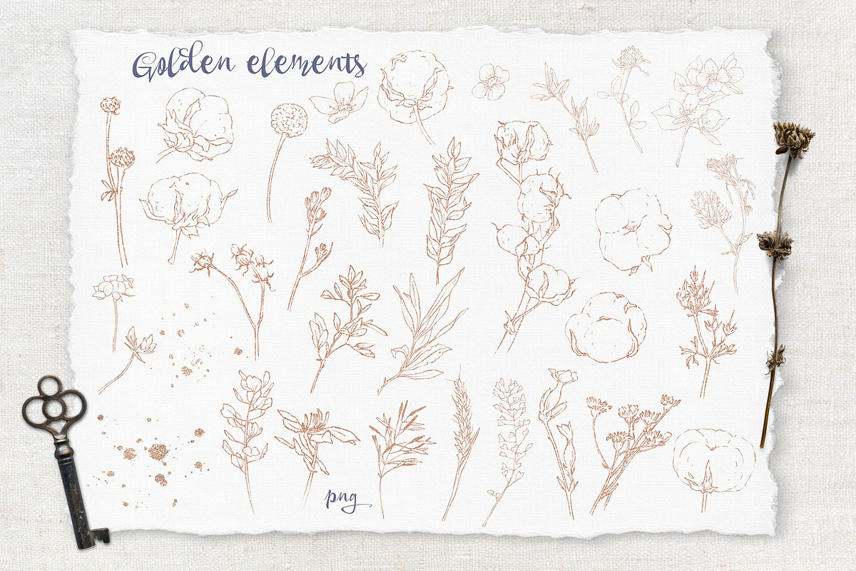 Watercolor Sunflowers and Cotton, an Illustration by Yuliya Art (Photo 11 of 24)