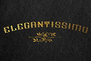 Foxtrot Typeface, a Serif Font by BlackBird Foundry (Thumbnail 2 of 3)