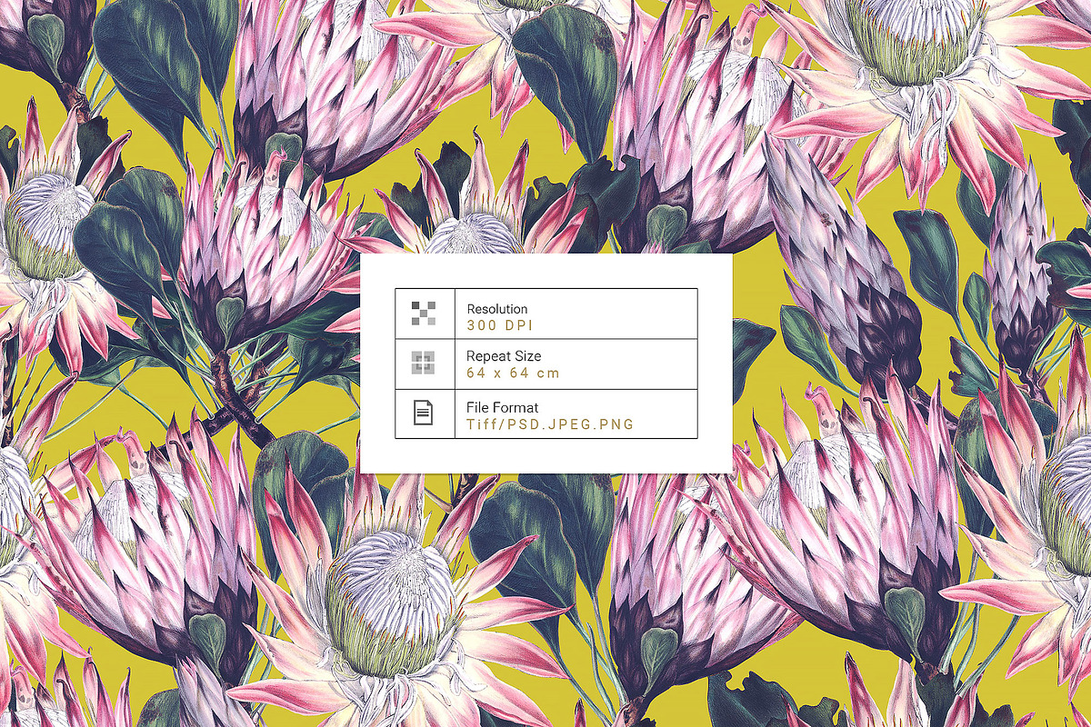 Exotic Protea Prints & Motifs, a Pattern Graphic by Pink Linen (Photo 2 of 10)