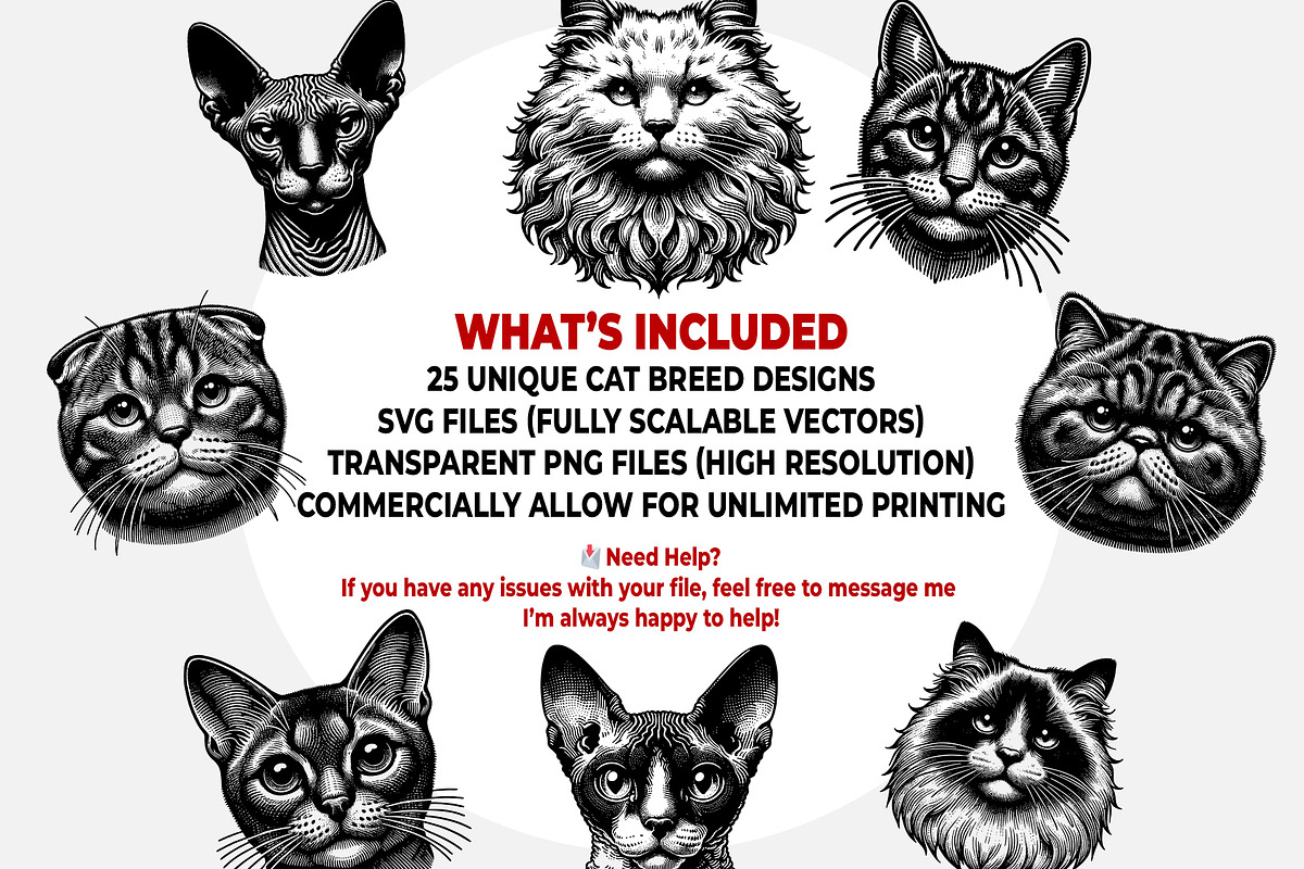 Cat Breeds SVG & PNG Bundle, an Illustration by M9 Design (Photo 4 of 4)