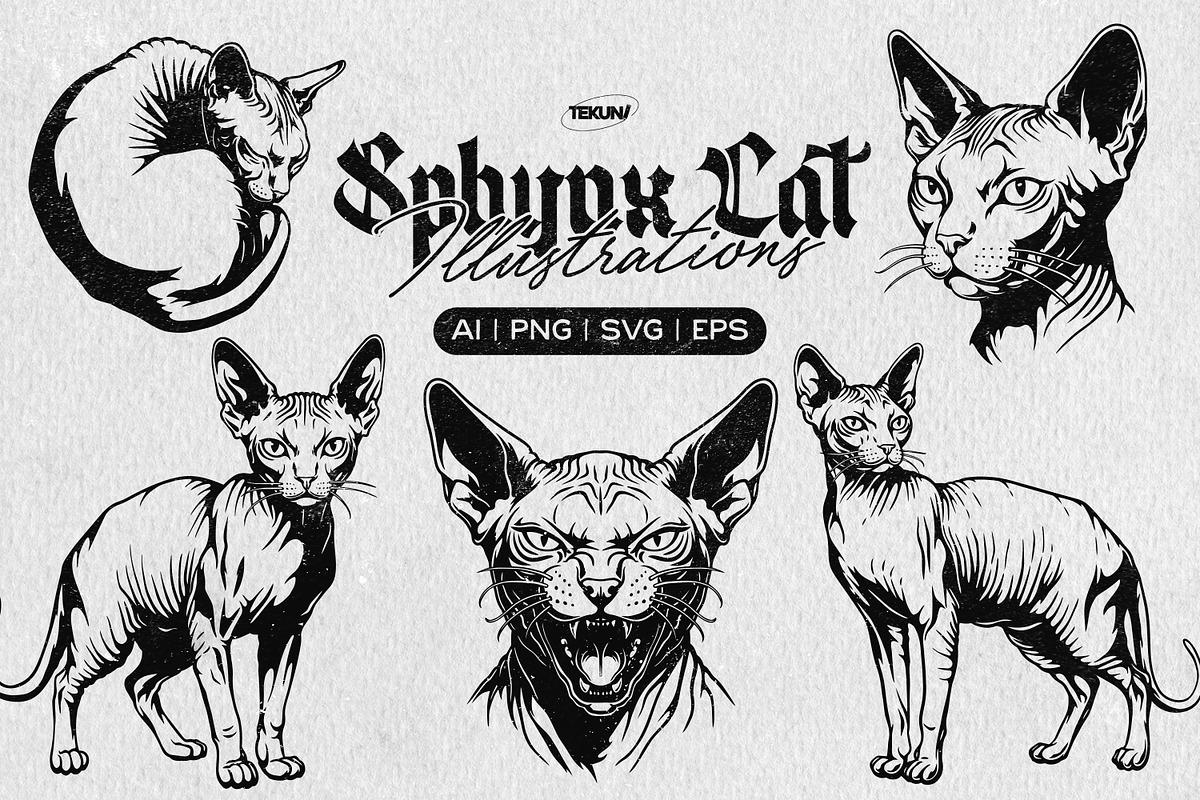 Sphynx Cat Illustration Pack, an Animal Illustration by Tekuni (Photo 1 of 14)
