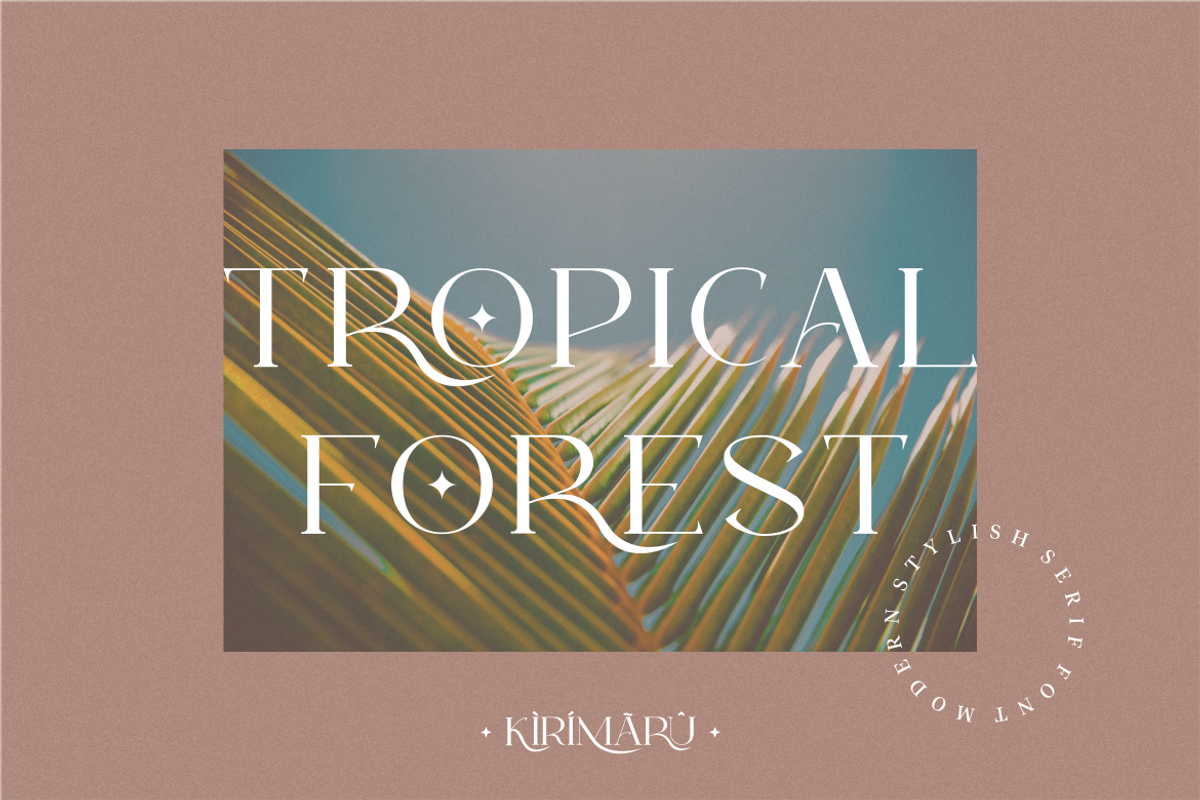 Kirimaru - Serif Lovely ELegant Font, a Serif Font by Typegoals Studio (Photo 6 of 9)