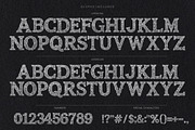 Lace Sans - Elegant Wedding Font, a Symbol Font by AndrewPixelType (Thumbnail 8 of 8)