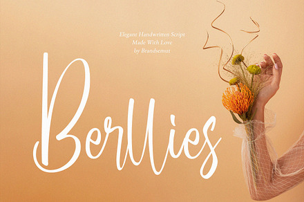 Berllies – Elegant Handwritten Font