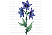 Monkshood Blooms, a Decorative Illustration by Bloom Craft Creations (Thumbnail 3 of 12)