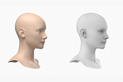 Natural Female Head 01 Generic Mesh, a Characters & Person 3D Model by VK Studio (Thumbnail 4 of 19)