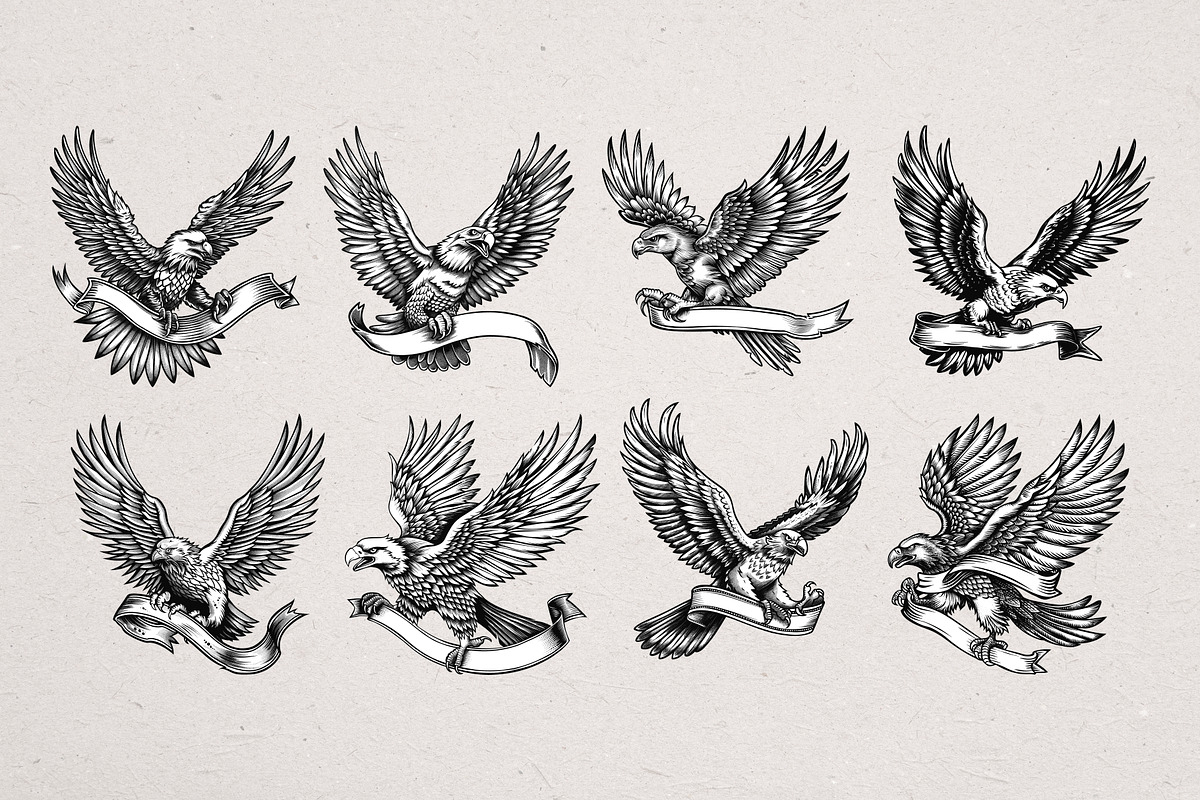 36 Eagle Vector Illustrations, an Animal Illustration by Alternate Studio (Photo 7 of 7)