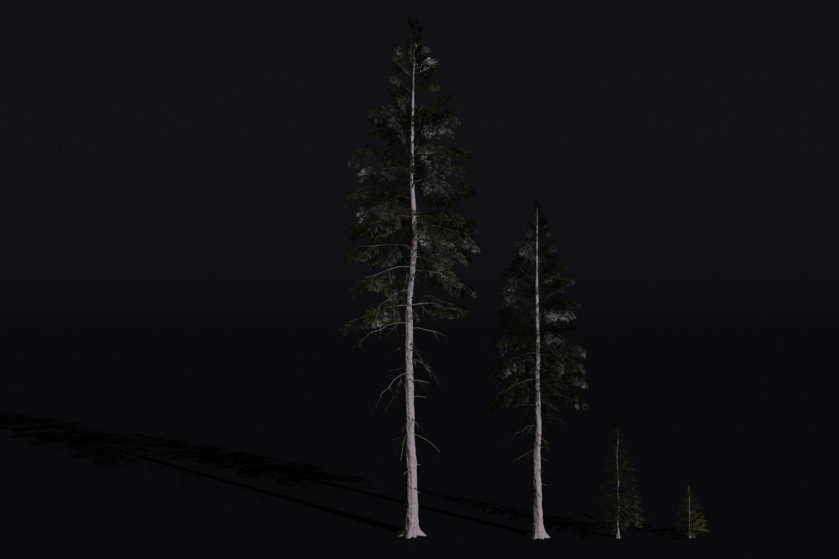 The Norway Spruce Tree, a Plants & Tree 3D Model by FuturePastCreatives (Photo 5 of 7)