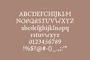 KALON – Serif Font, a Serif Font by Hybridbee Design (Thumbnail 7 of 10)