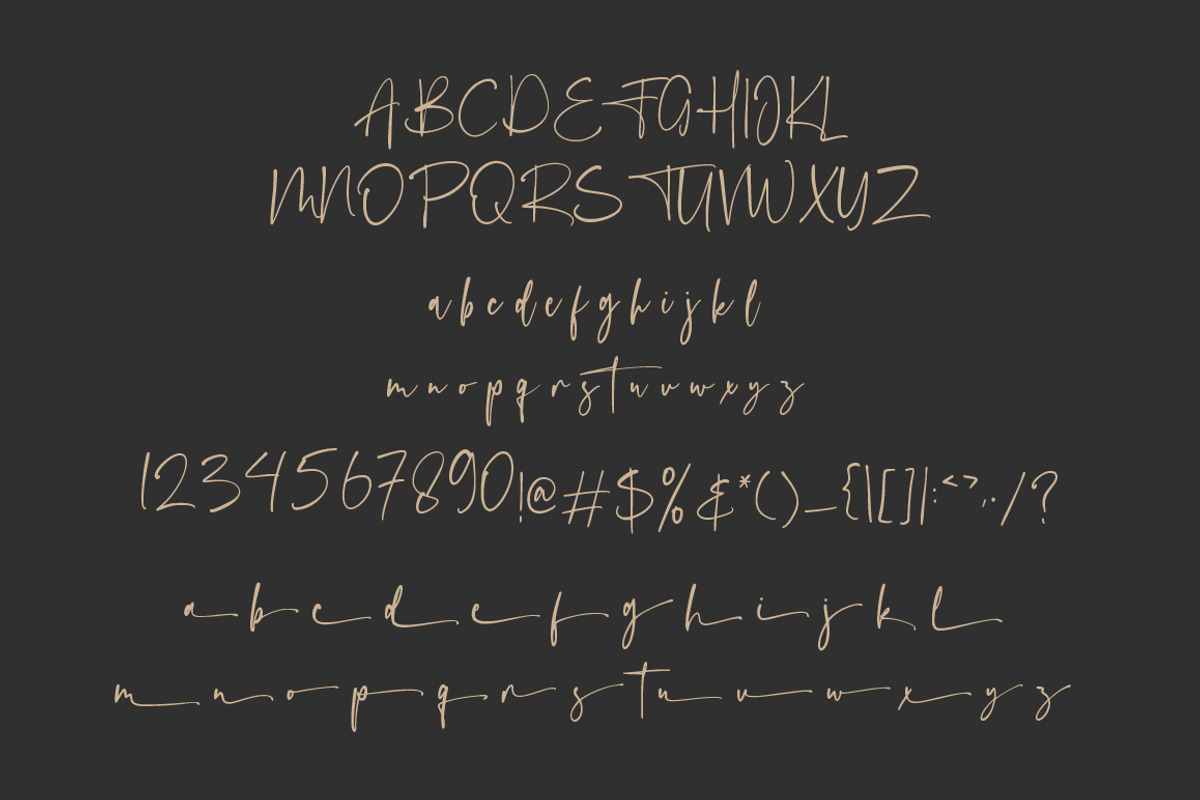 Faustima - Chic Signature Font, a Script Font by Vultype Co. (Photo 6 of 7)