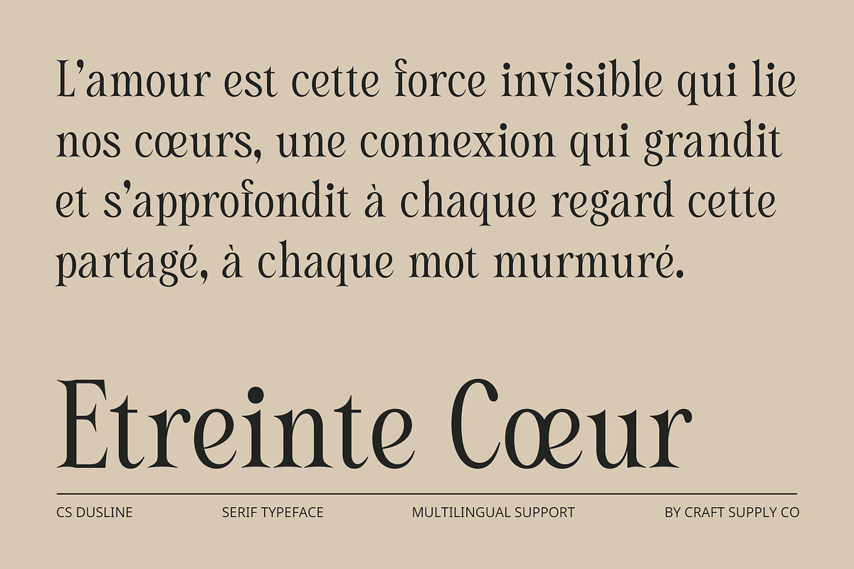 CS Dustine – Elegant Font, a Serif Font by Craft Supply Co. (Photo 4 of 8)