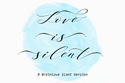 Brainlove - Beautiful Script, a Script Font by Aldedesign (Thumbnail 6 of 7)