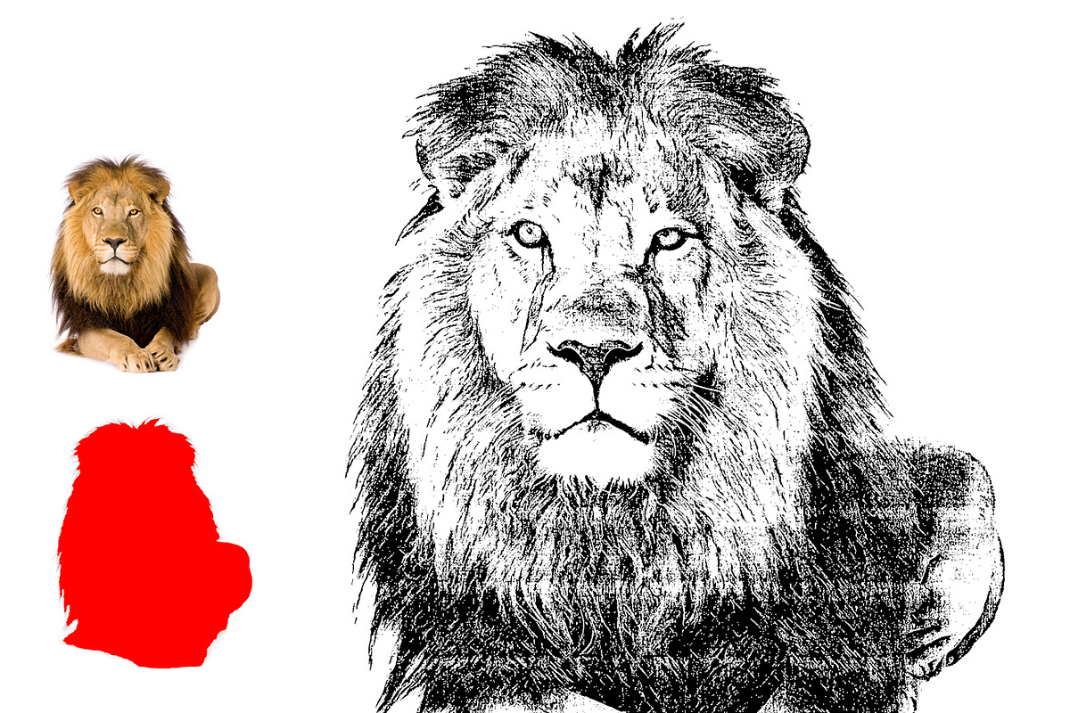 Sketch Tracing Photoshop Action, an Action Add-On by MRI STUDIO (Photo 7 of 19)