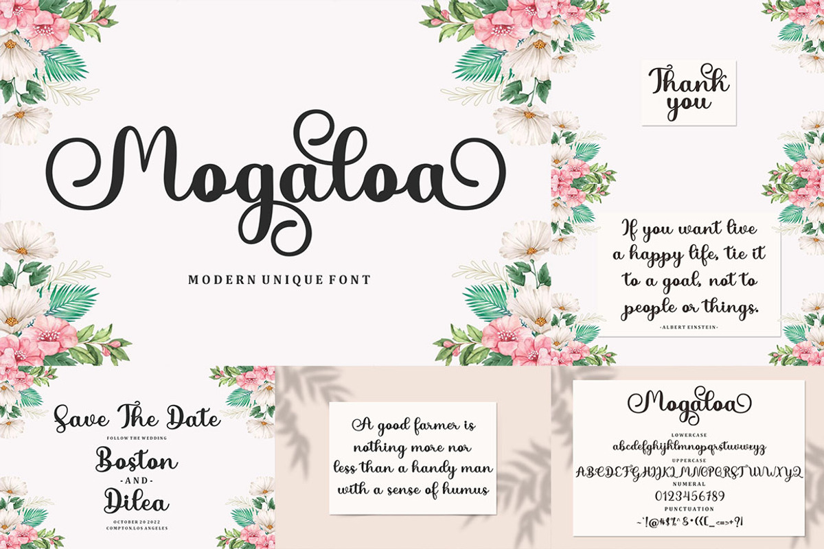 All Type Collection Font Bundle, a Script Font by Bosstype Studio (Photo 38 of 45)