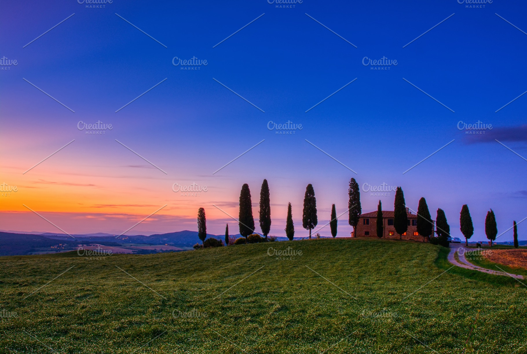 Cypress trees and meadow with typica stock photo containing tuscany and, a Nature Photo by CreativePhotoSpain