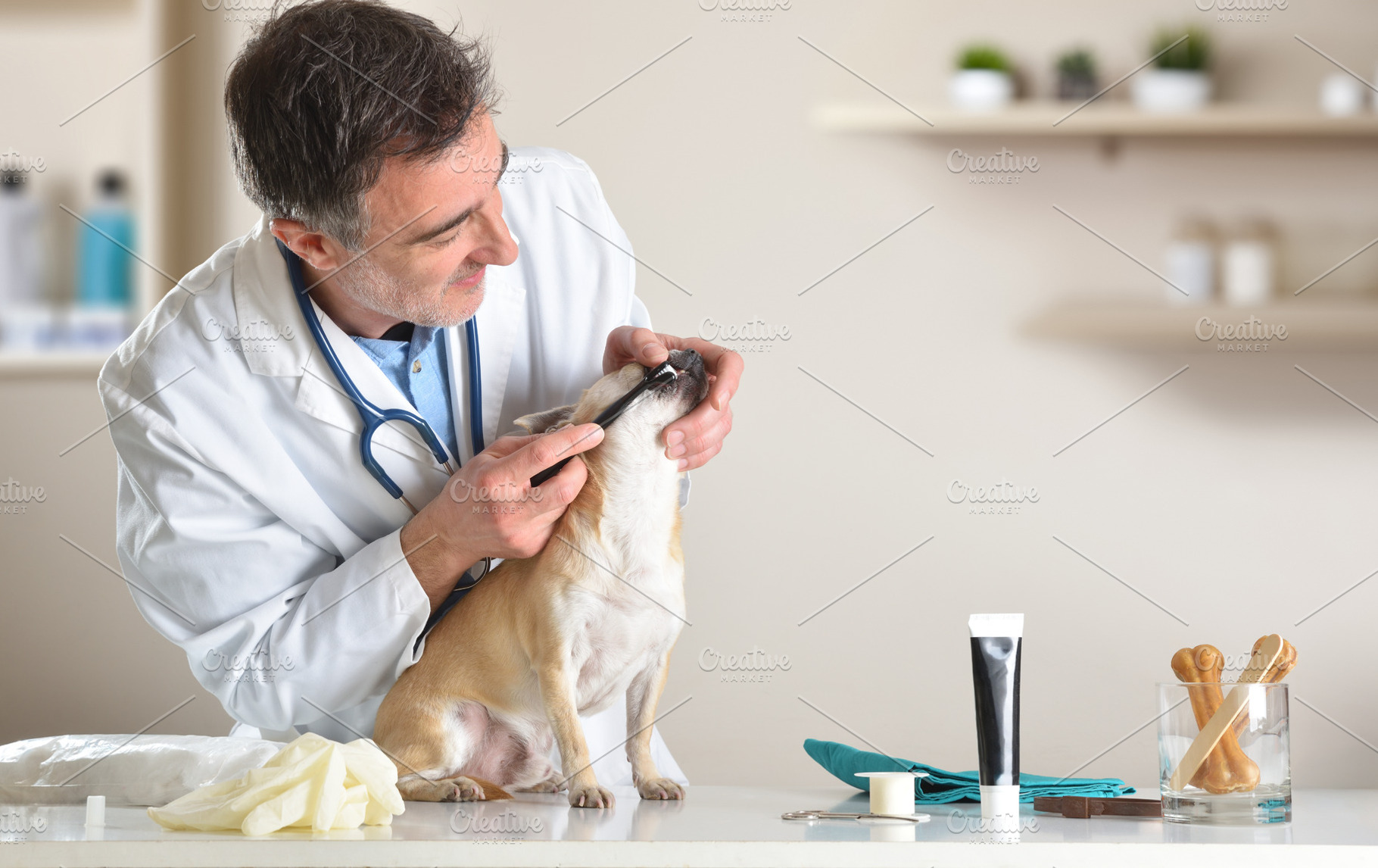Veterinarian Brushing Dog Teeth in Clinic, an Animal Photo by Davizro's Market
