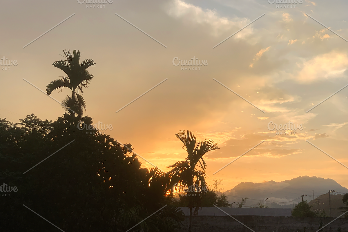 Peaceful Palm Tree Sunset Landscape, a Background Photo by 3D assets for your awesom (Photo 1 of 3)